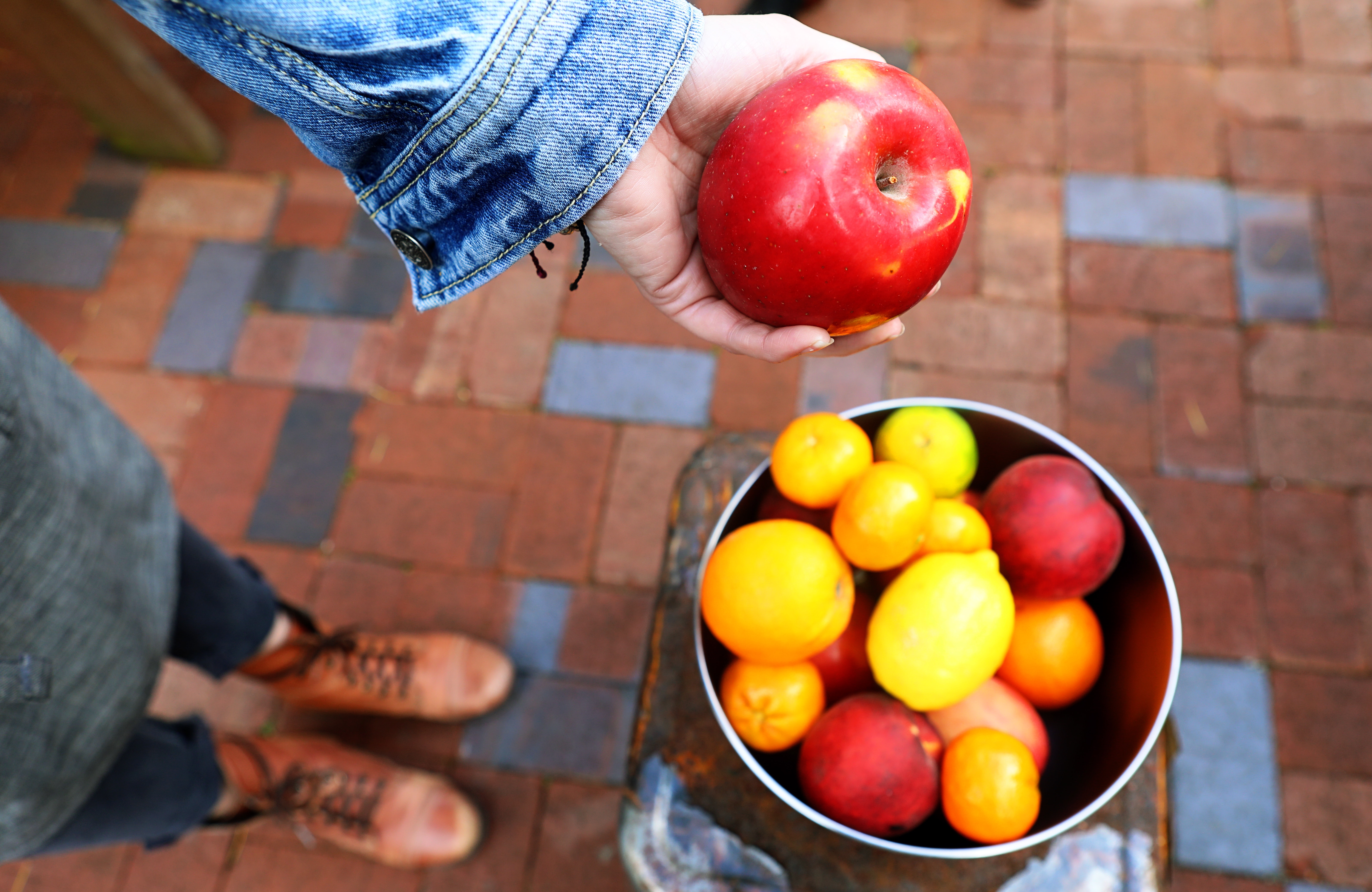 Urban Farming in Shipping Containers