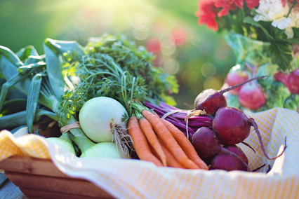 custom portable farms in shipping containers