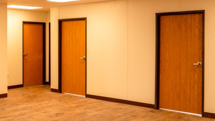 Interior-Door-woodgrain-photo-1