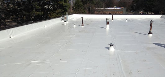 Exterior Finish Roof EPDM White Roof 