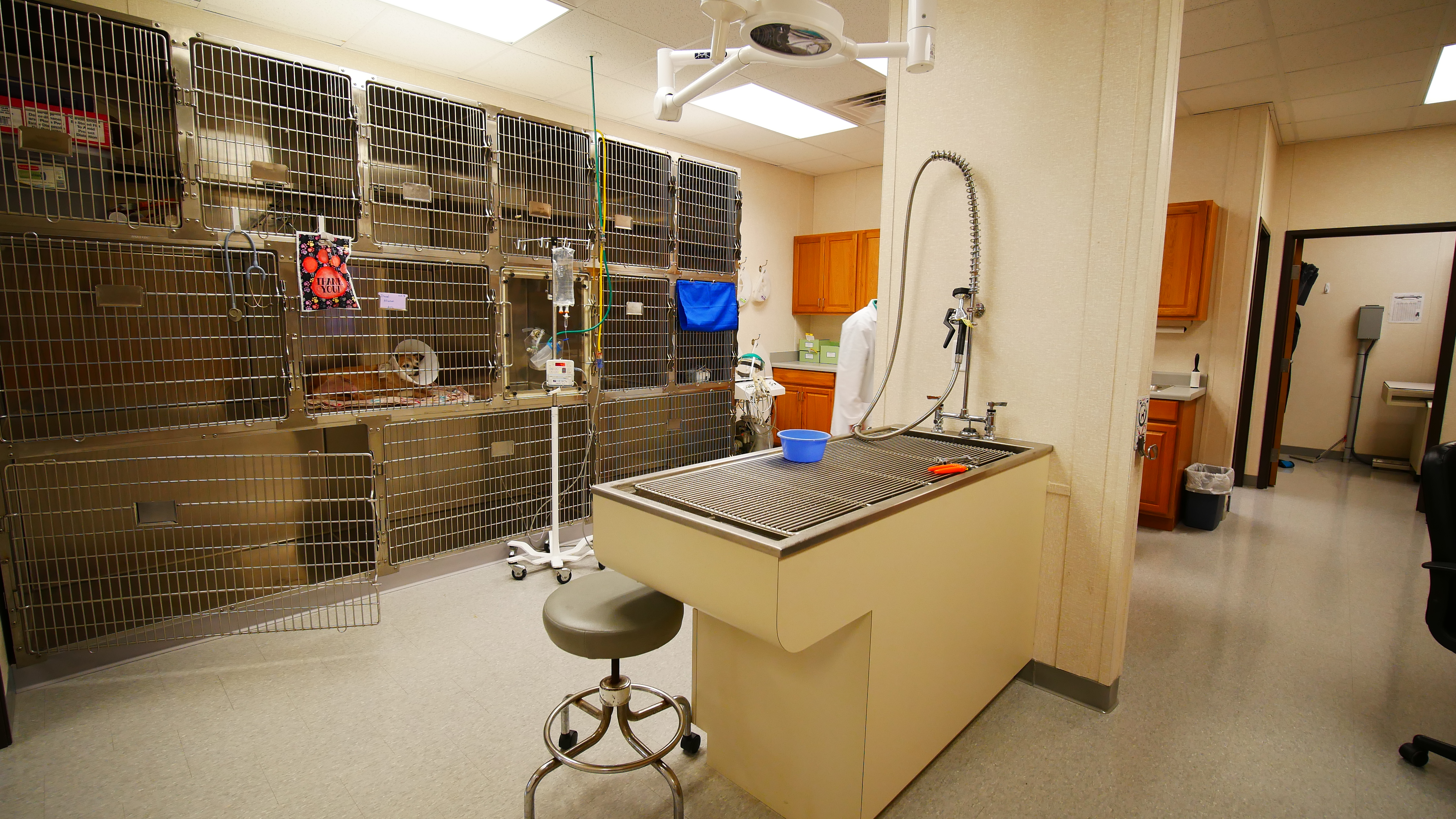 custom modular animal hospital