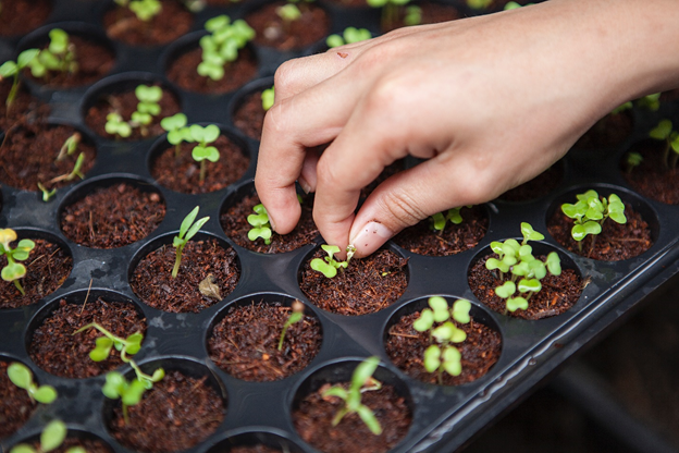 portable farms in custom shipping containers